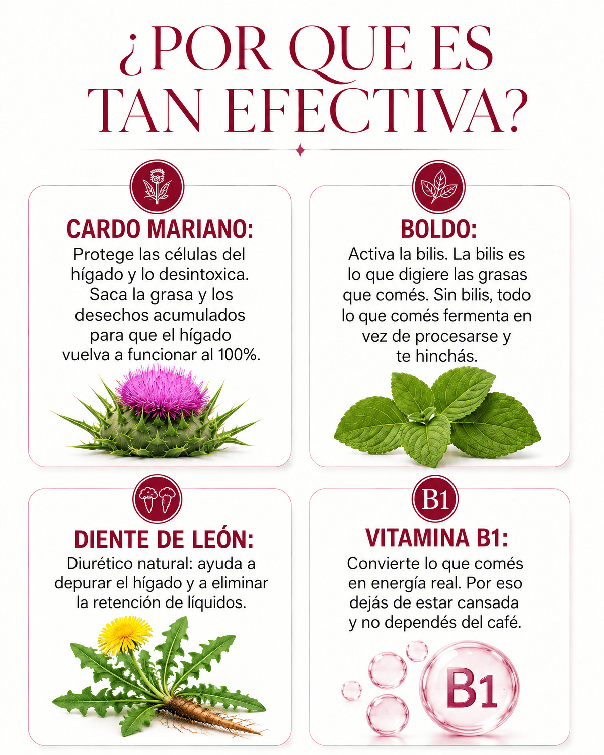 Aurea Prestige - Tu aliado Para Adelgazar, Recupera tu figura y Equilibro Hormonal.