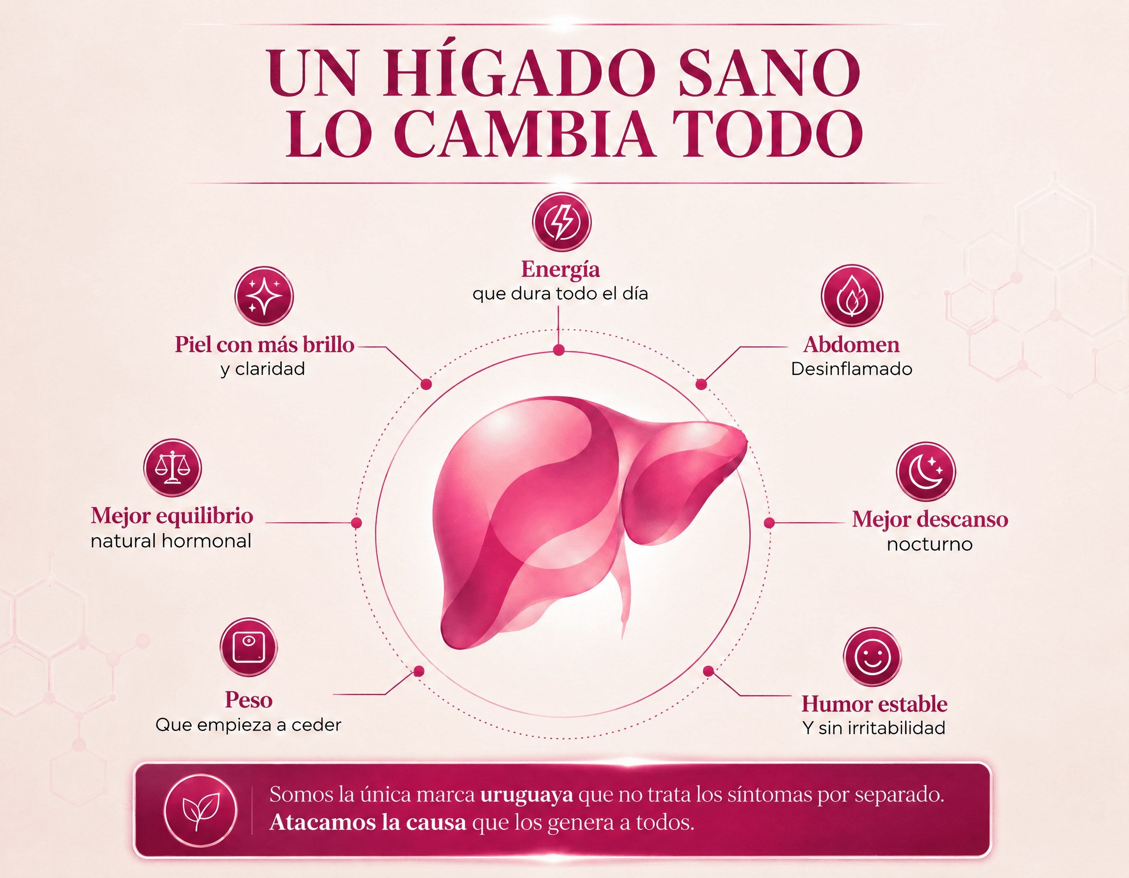 Diagrama que muestra cómo un hígado saludable favorece la energía, el descanso, el equilibrio hormonal, la digestión y el bienestar general